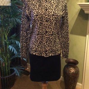 Ann Taylor Madison Skirt